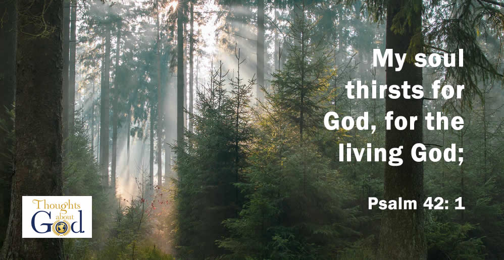 Christ, Our Life
