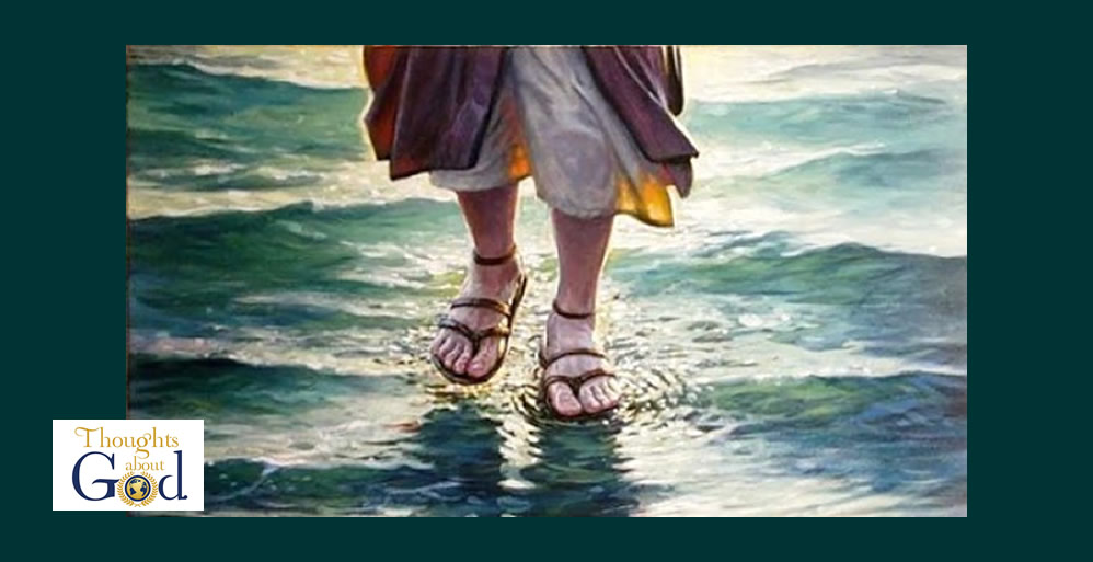 The Storm Walker