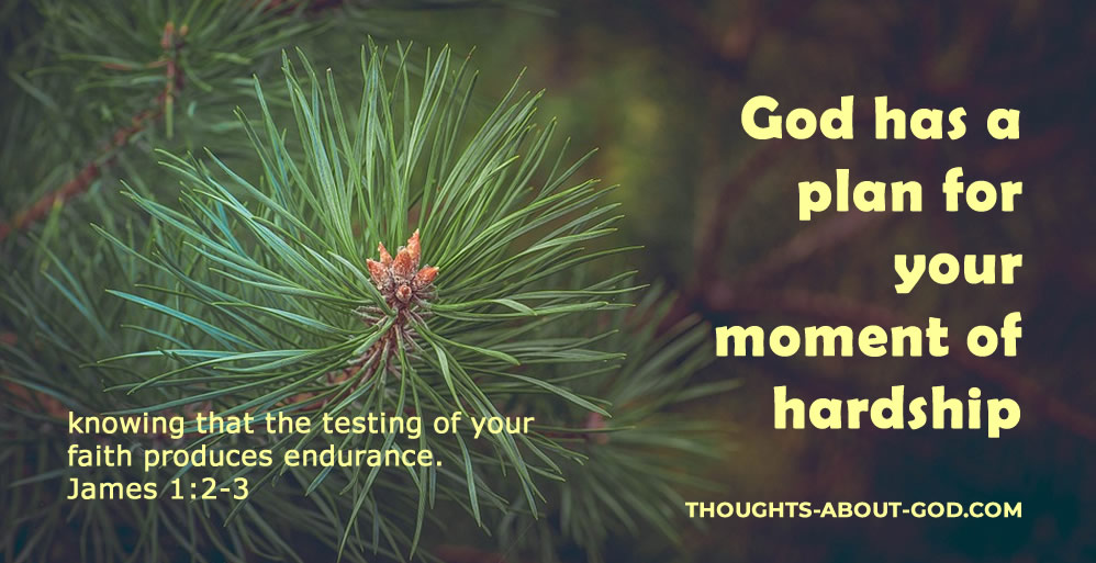 Wisdom for the Trials of Life