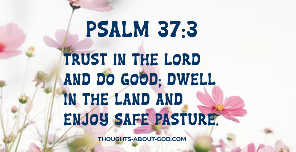 Assurance of His Provision