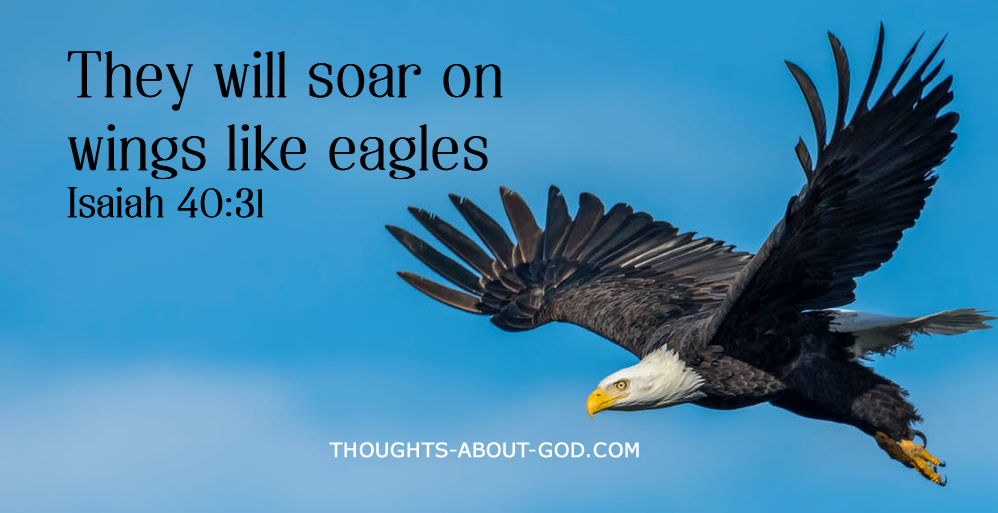 Soar Like an Eagle