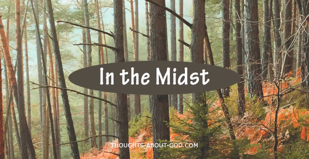 In the Midst