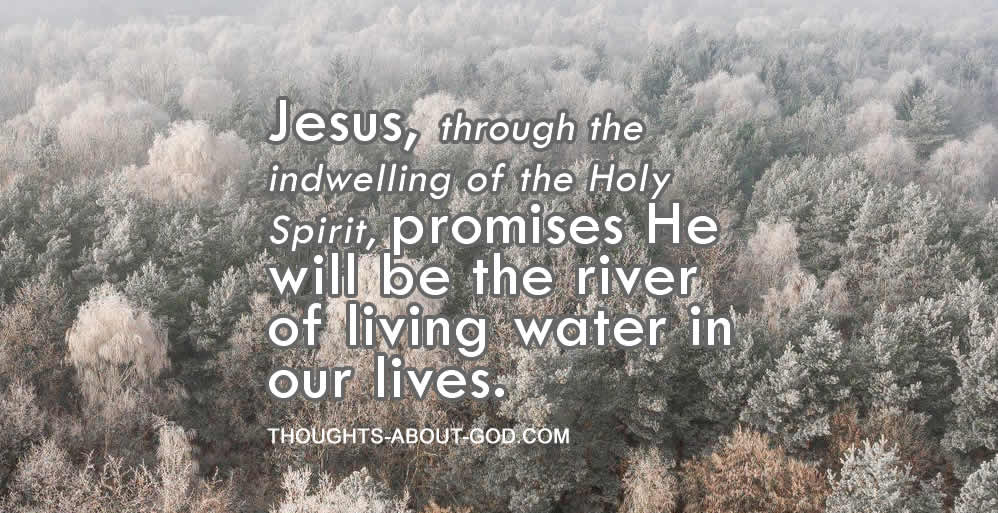Overflowing With Life!