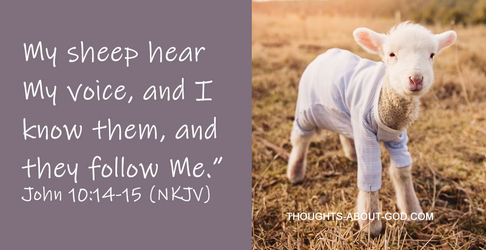 Knowing the Shepherd;  The Shepherd Knows You