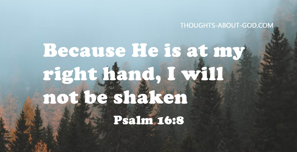 I Will Not be Shaken