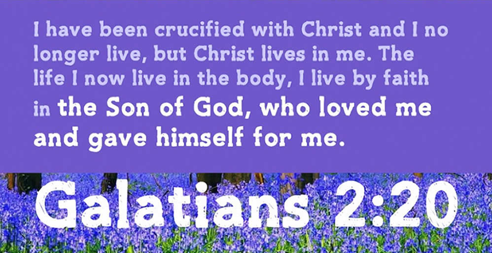What the Lord Values