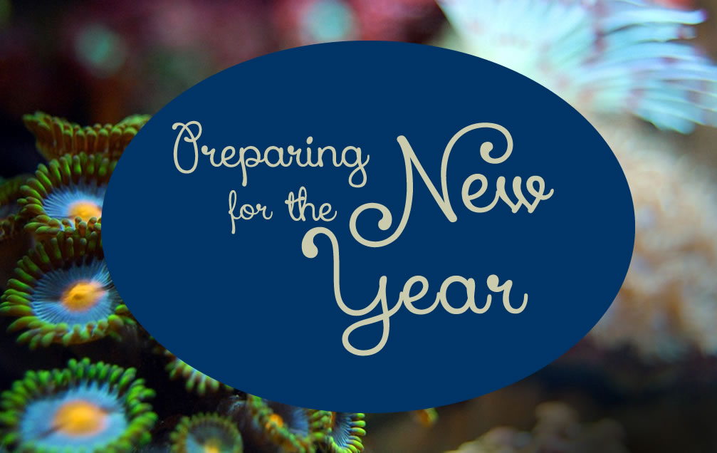 New Year Articles