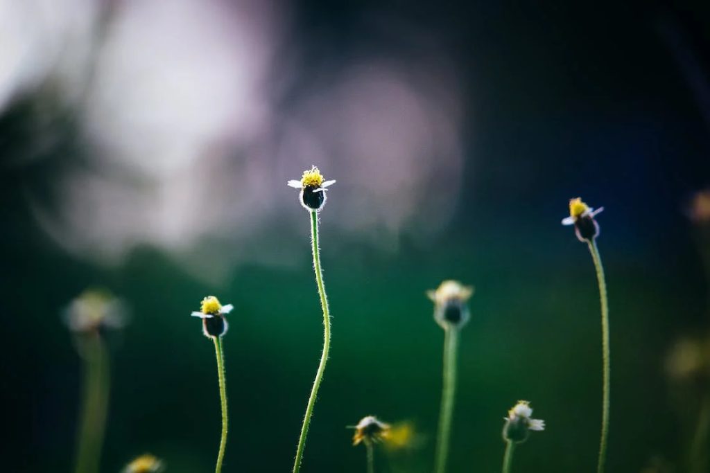 Beginnings and Endings