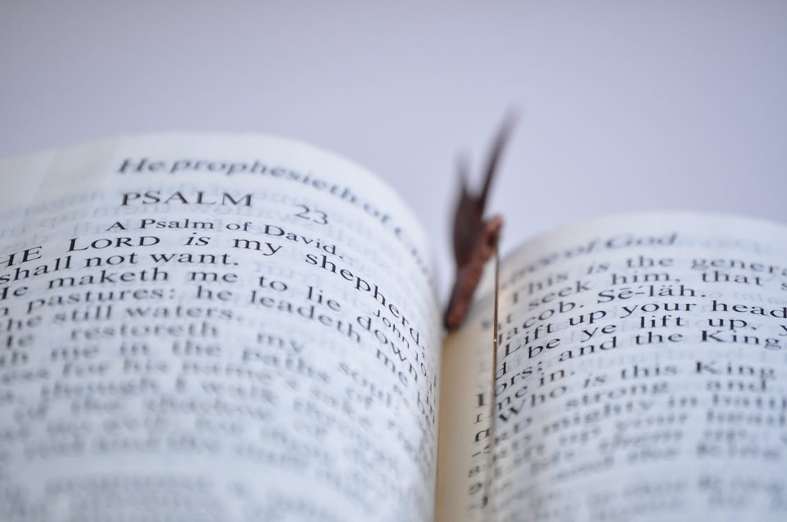 Bible Studies and more