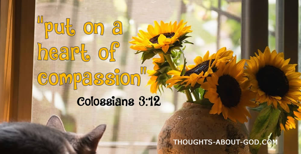 Put On a Heart of Compassion