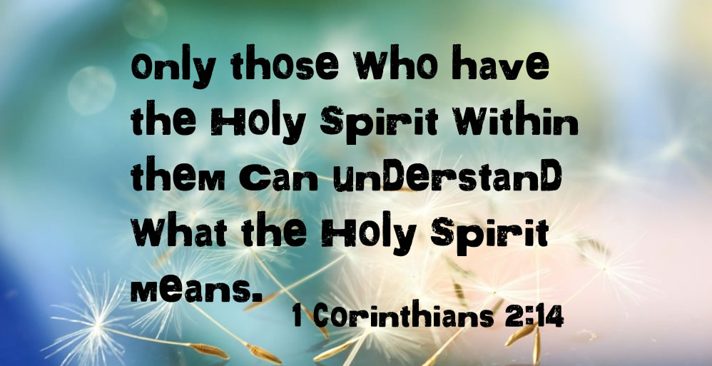 The Holy Spirit Enlightens