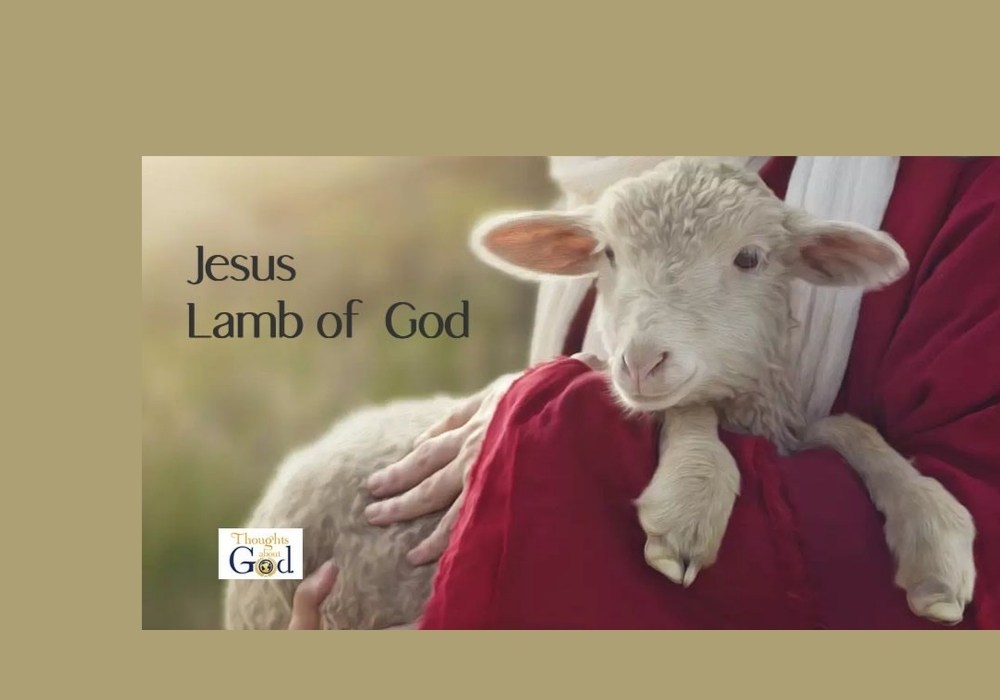 To The Lamb of God