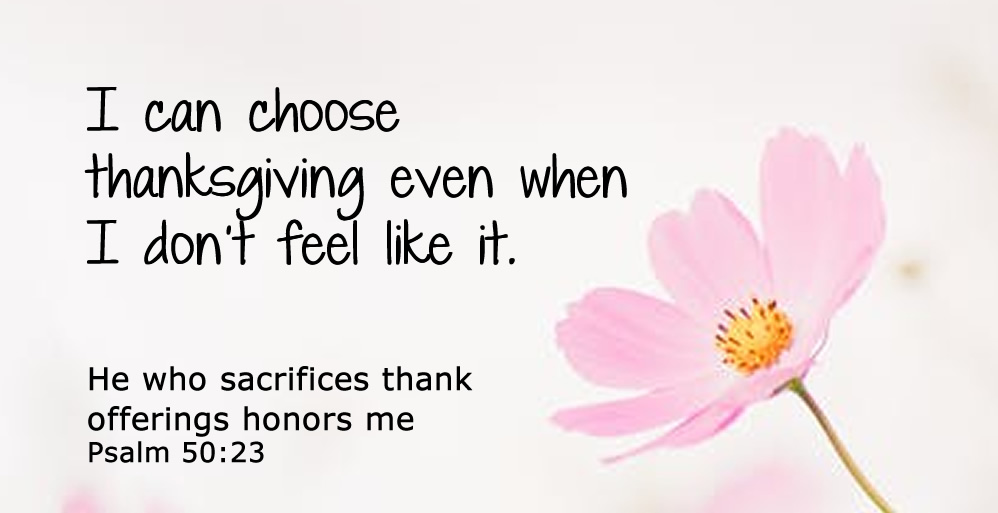 I Choose to Give Thanks