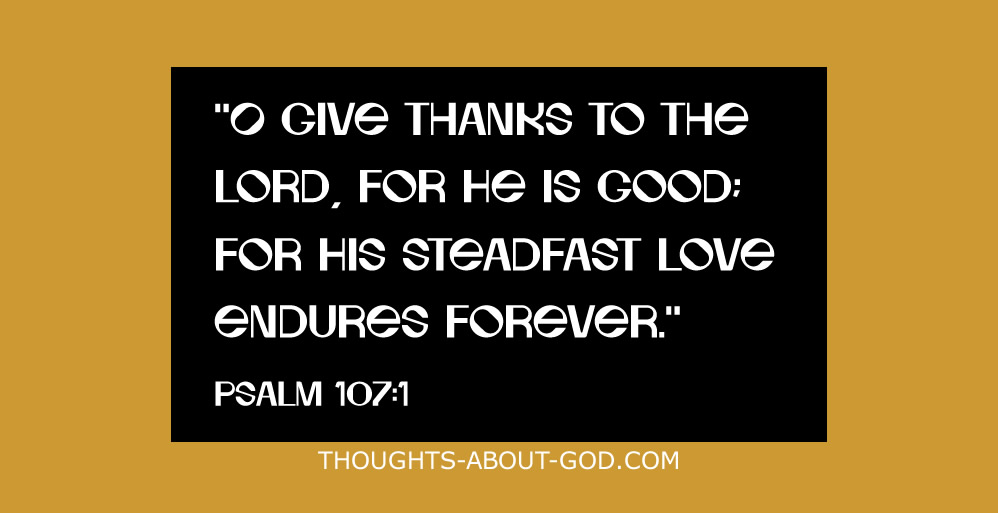 A Heart of Thankfulness