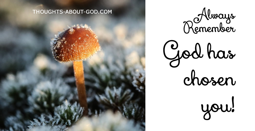 You are God’s Chosen Servant