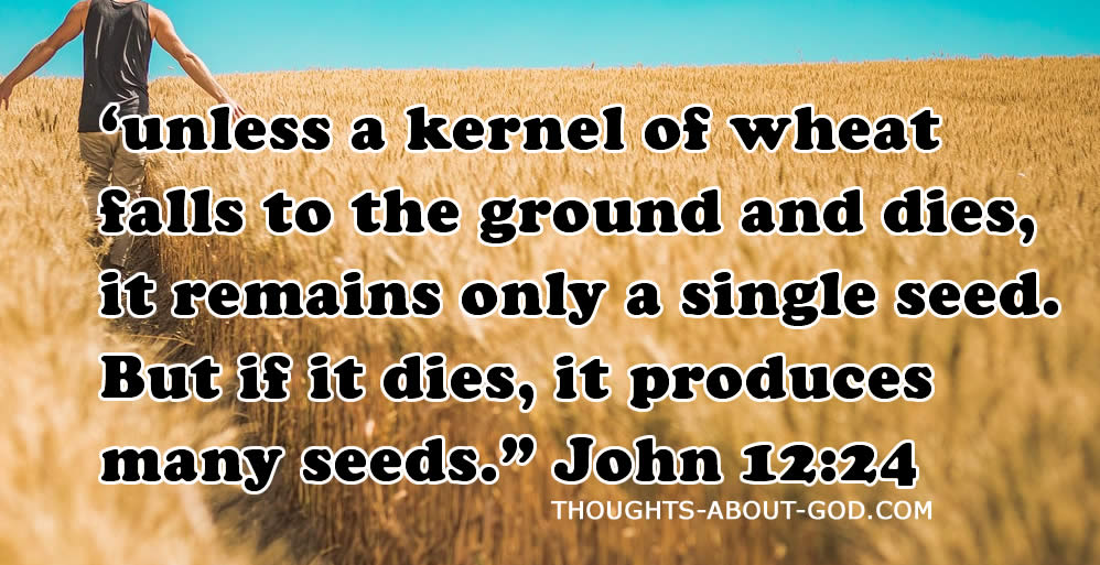 Unless a Seed Falls