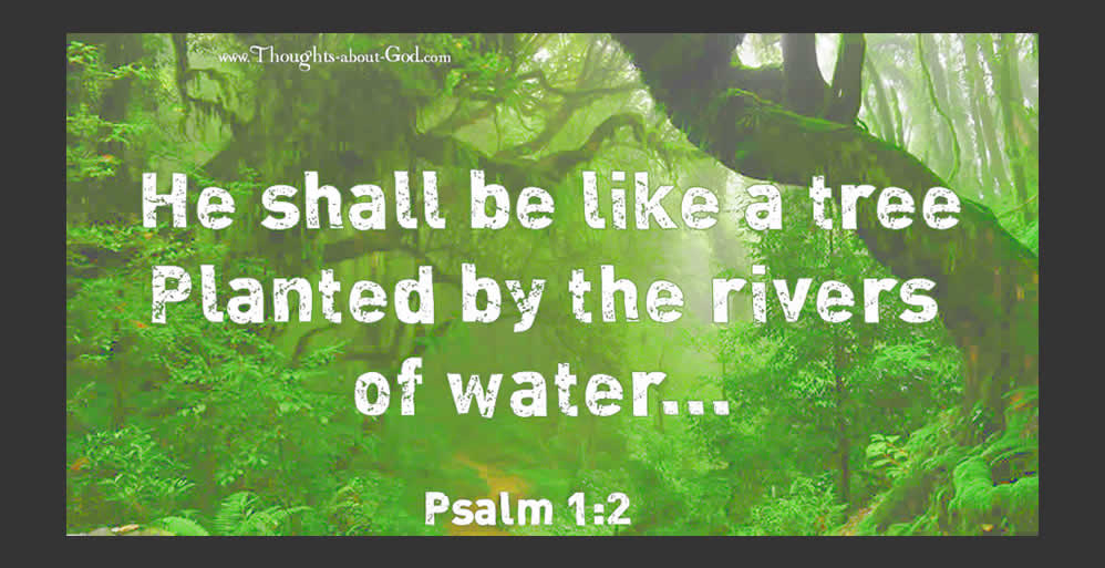 A Place of Blessing