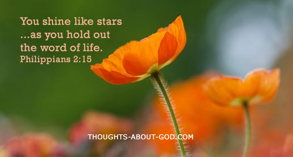 Story of Shining Your Light