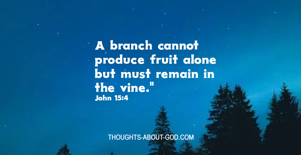 The Branch and the Vine