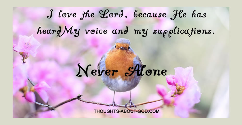 Never Alone