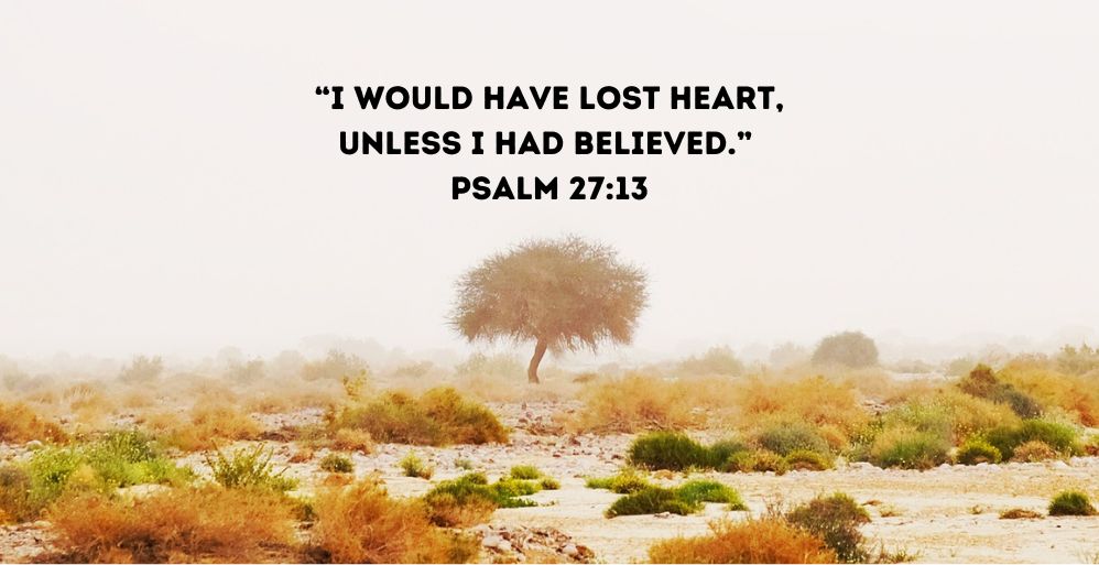 Do You Spend Time Under the Broom Tree?