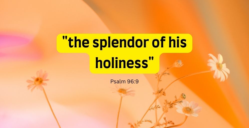Splendor of His Holiness