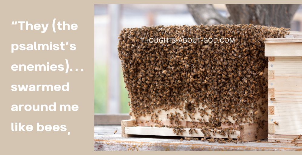 A Bee Attack