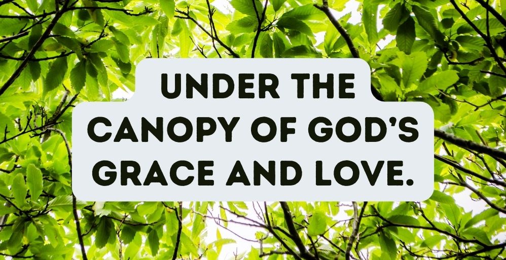 When God Looks on Us with Favor