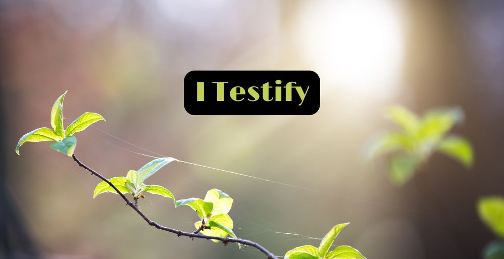 Testify – A Poem