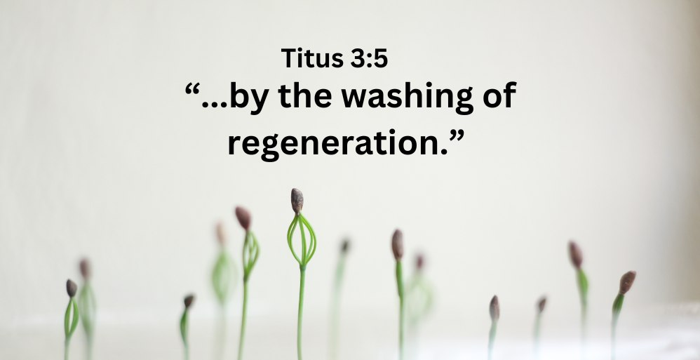 REgeneration