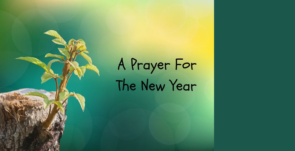 A Prayer For The New Year
