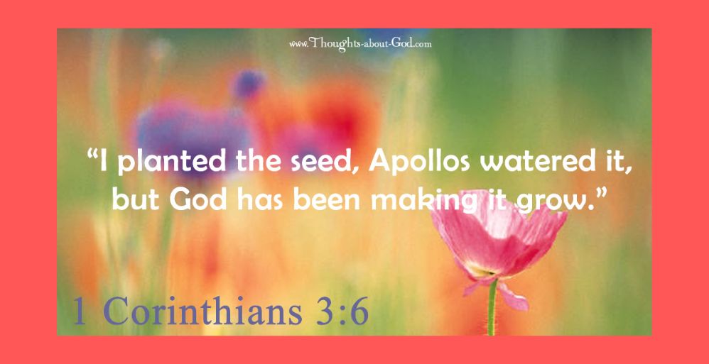 Seed Planters