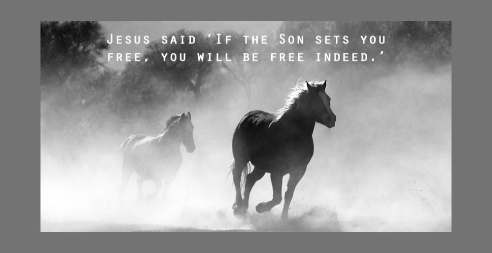 How to be Really Free