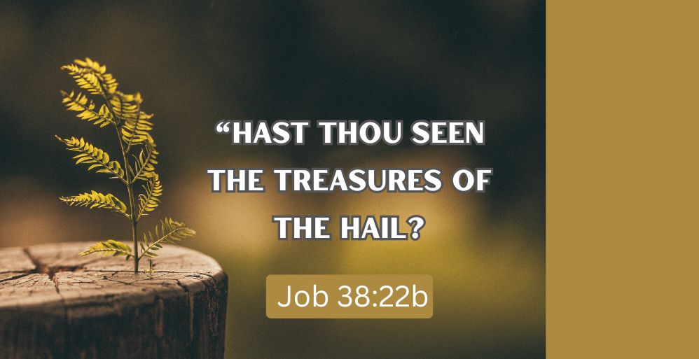 What is Your Hail?