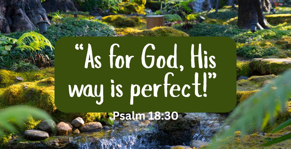 Let God Choose