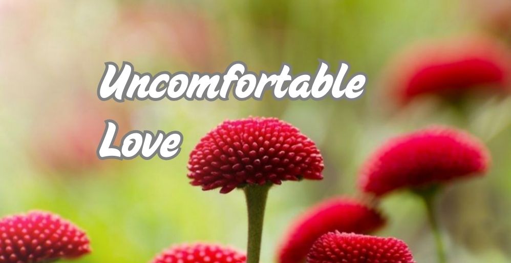 Uncomfortable Love