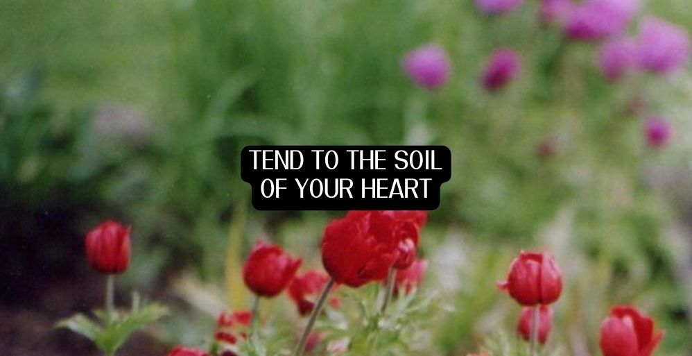My Unfruitful Garden