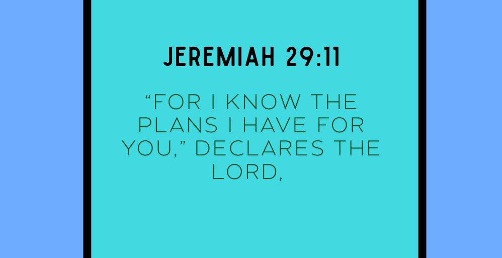 The Plans
