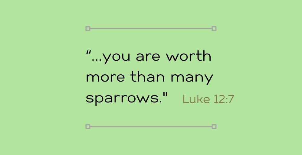 You are Worth More