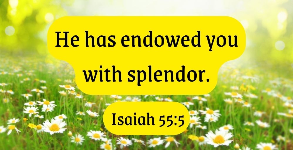 Endowed with Splendor