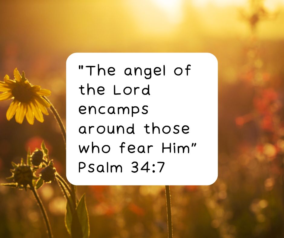 He Grants Protection and Serenity