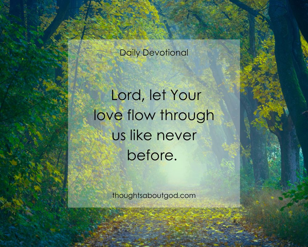 Let Gentleness Go Before You