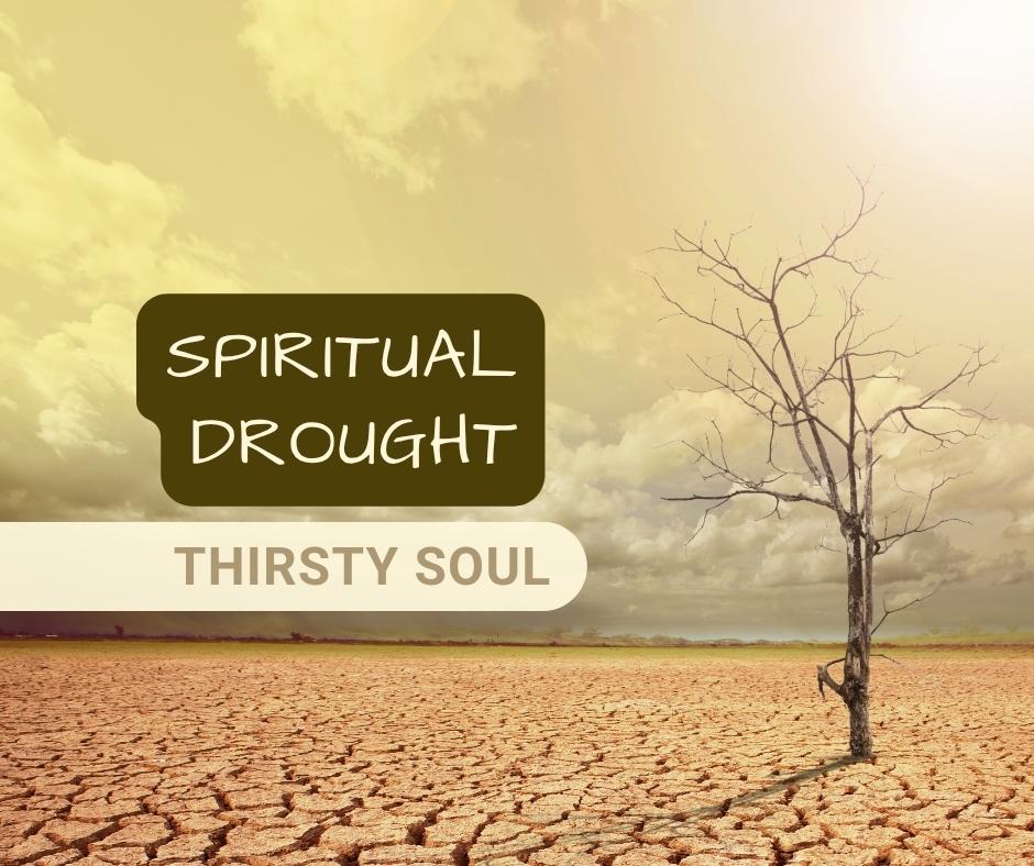 Dry Towels and Thirsty Souls