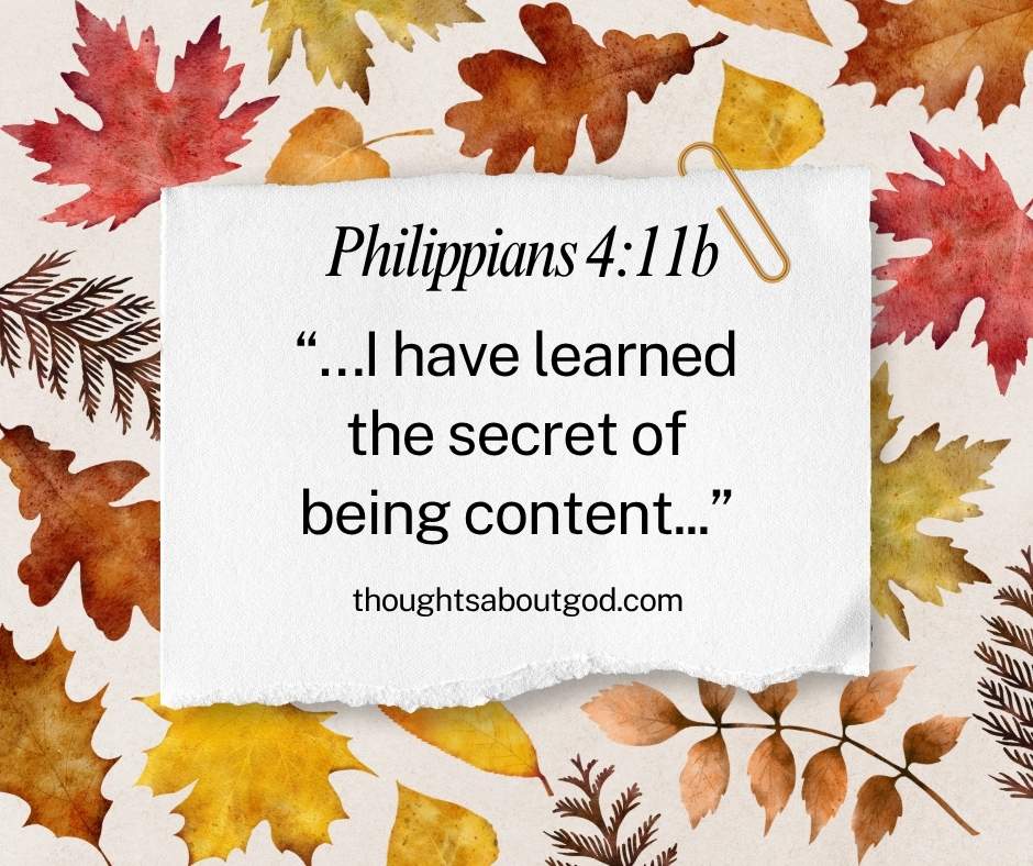 Contentment in October