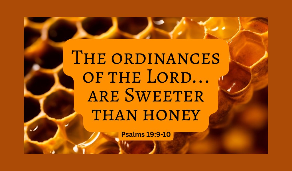 The Honey at our House