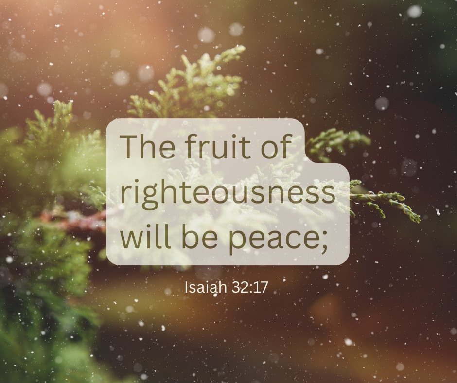 Take the Panic out of Christmas