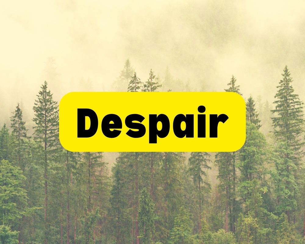Dealing with Despair