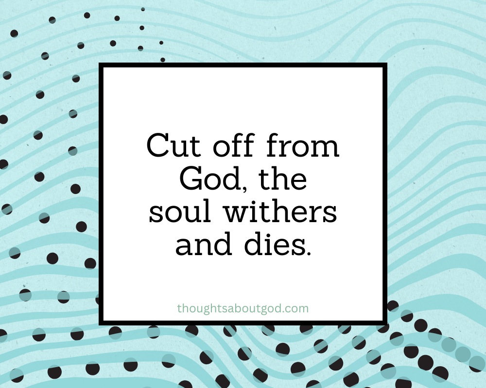 The Soul Killer