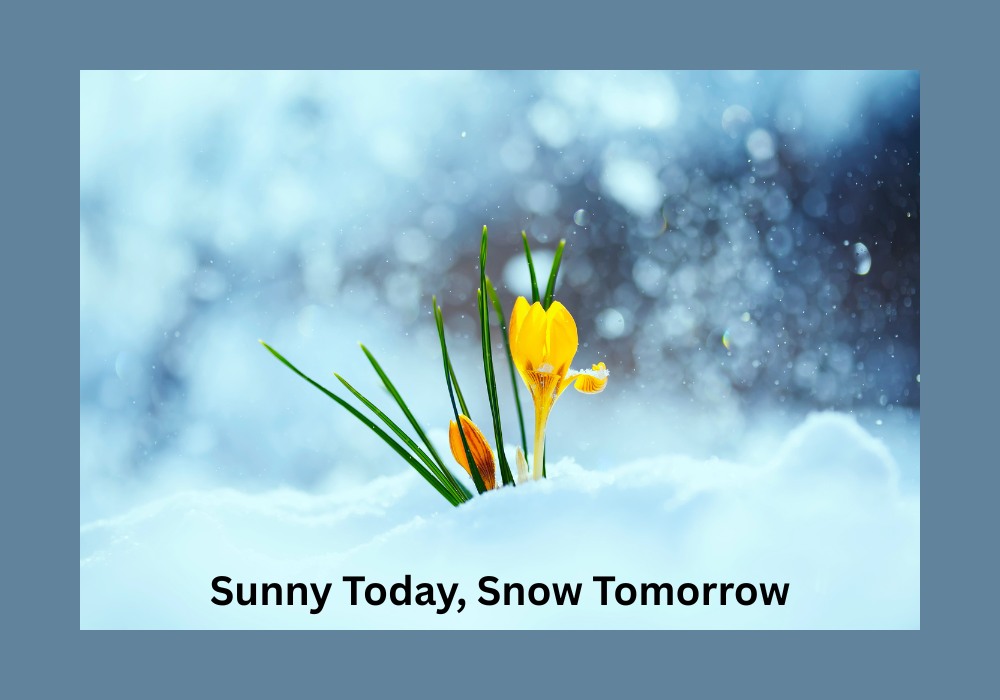 Sunny Today, Snow Tomorrow