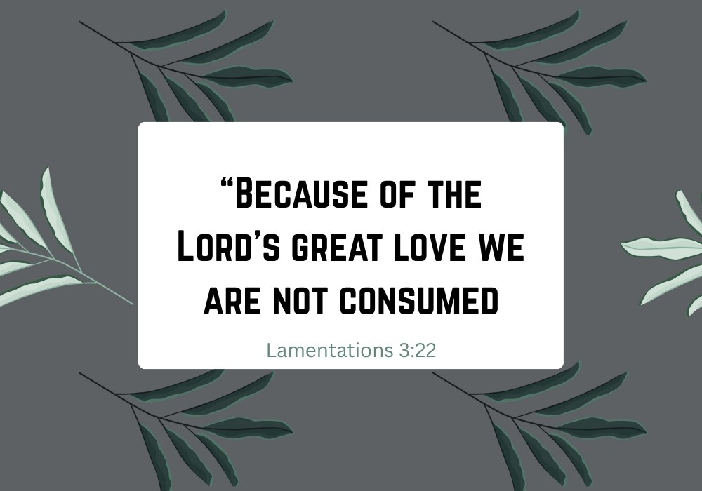 We Are Not Consumed